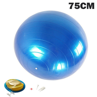 Gym Balance Exercise Workout Ball
